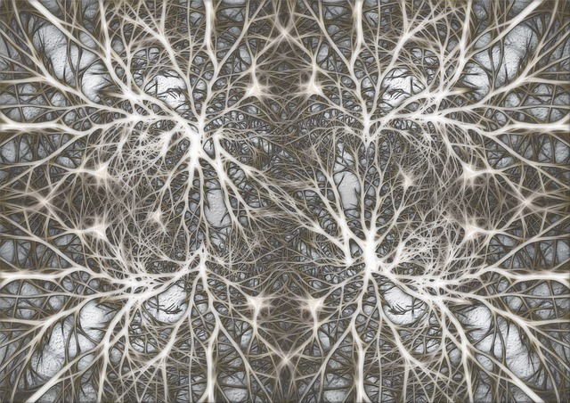 Neurons1